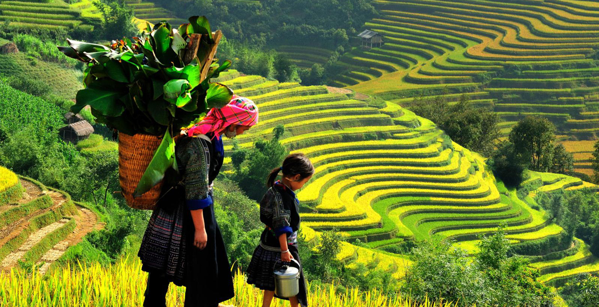 North Vietnam & Sapa Excursions